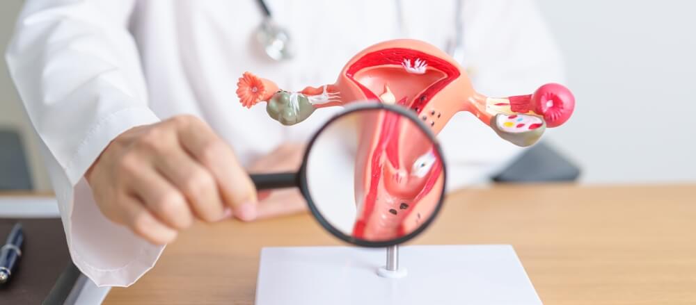 fertilitate la menopauza