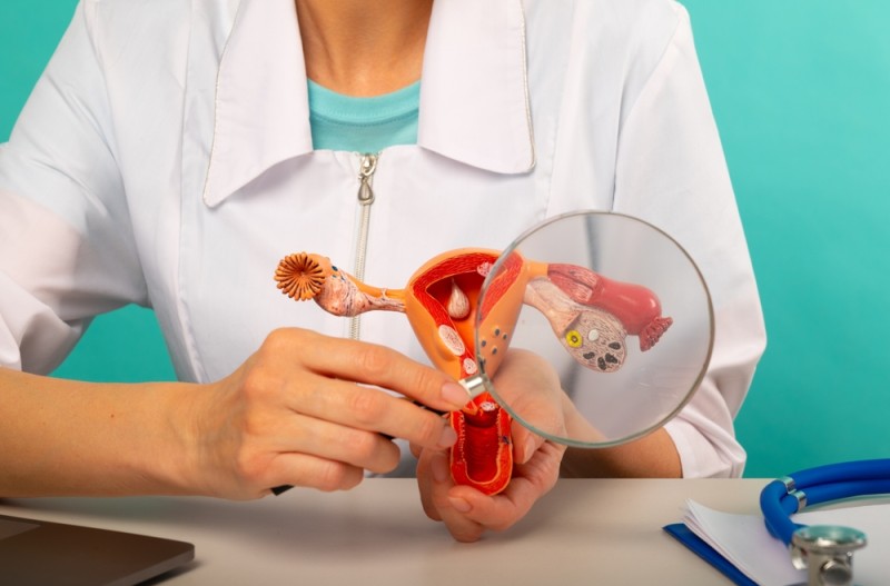 Imaginea reprezintă structura anatomica a aparaturlui reproducător feminin